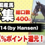 芦毛の怪物 Hansen （Bijoux Miss 2014 の父）