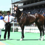 今週の出走予定（２１日）棟広良隆のレース展望付