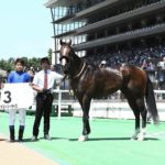 デストリーライズ、大外一気の脚で優勝！