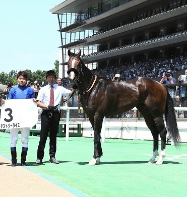 デストリーライズと三浦皇成騎手