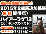 【残り３５時間】無料提供馬ハイアーラヴ’13の申込見込について