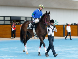 ゴッドフロアー「乗り替わりも検討しましたが、ジョッキーとの相性が悪いわけではなく、このコースも慣れたもの。ここはもう一度、巻き返してもらいたいですね。前走よりも積極的な騎乗で、うまく流れに乗ったレース運びを期待します」（松永幹調教師）