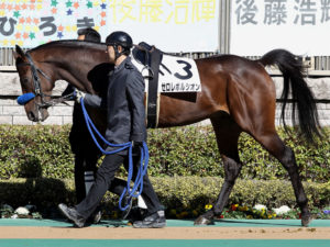 ゼロレボルシオン