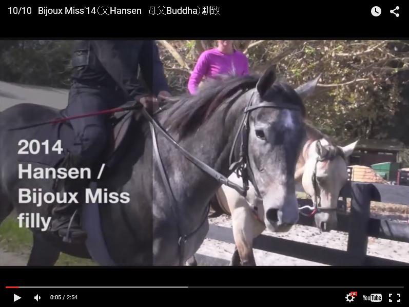 Bijoux Miss14-馴致