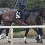 未勝利戦に出走する初出走馬ドゥオーモ