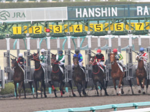 新馬戦はダート1800ｍで３着だったマグナムインパクト