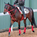 今週は４頭が出走！（９日）棟広良隆のレース展望付