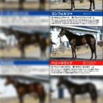 明日５月１０日（火）朝５時、コンフォルツァが吉澤ステーブルＥＡＳＴに向けて出発