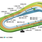 ３場全てが軽い芝