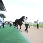 レトロクラシックが東京芝1800ｍを見事優勝！