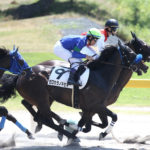 ゼロカラノキセキが8/24川崎競馬・オーガストフラワー賞（ダ1500ｍ）に出走！