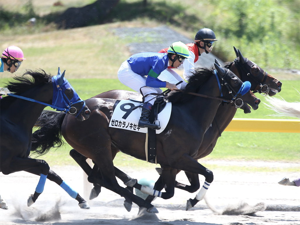 ゼロカラノキセキが8 24川崎競馬 オーガストフラワー賞 ダ1500ｍ に出走 広尾サラブレッド倶楽部