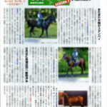 クレッシェンドラヴがGallop誌に取り上げられる。東京デビューへ。