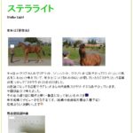 ぐりぐり君の愛馬ステラライトの由来