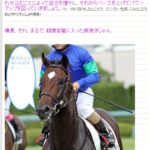 広尾っ仔応援ブログ「千里の馬も伯楽に逢わず」ご紹介！「相撲部屋の新弟子」