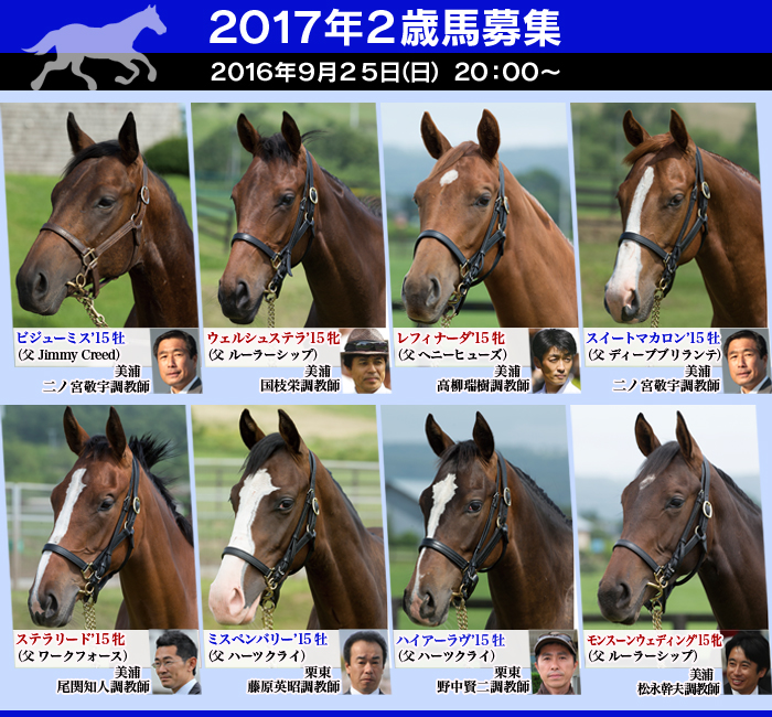 上記に加えベイビーローズ'15の馬名応募を受付中です！