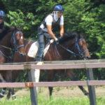 重い芝の馬場レベルが高い状態