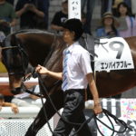 エンパイアブルーの勝利について！