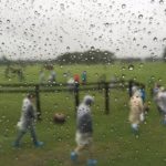 連日の雨！異様な夏が現実化　