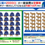 DMMバヌーシーの10000口と広尾の2000口の違い