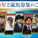 １０月１３日（金）より新規募集馬の全容を公開し ました！