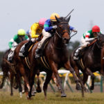 Team Hiroo近親馬、今週末の出走予定