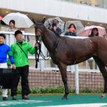 これは力以外の何物でもありません