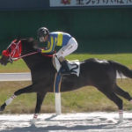 Team Hiroo近親馬、今週末の出走予定