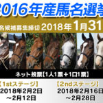 本日、2016年産馬の早期特典、馬名応募など諸々終了します。