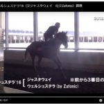 2016年産募集馬歩き動画一覧チェック用