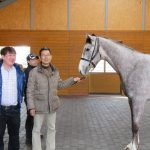 尾関知人調教師「６月の東京芝千四で下ろしてみたい。」