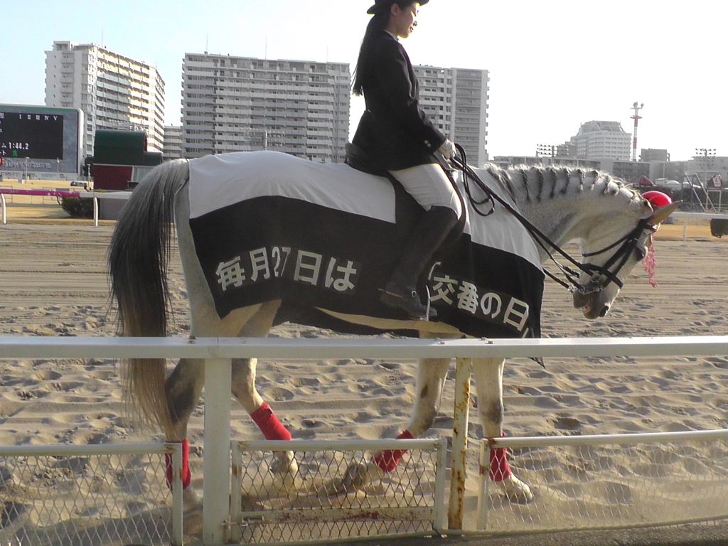 川崎誘導馬2