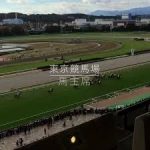 馬主席キャンペーン　６月東京開催のスケジュールを更新いたしました！