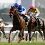 Team Hiroo近親馬、今週末の出走予定