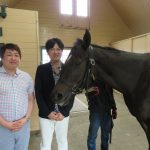 ３歳馬から当歳まで、一日で40頭