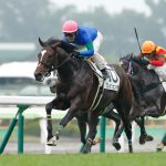 Team Hiroo近親馬、今週末の出走予定