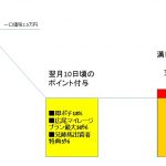 新規募集のお得な活用方法（Miss Fear Factor’16編）