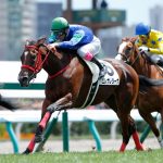 Team Hiroo近親馬、今週末の出走予定