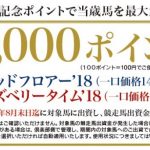 【8/31の有効期限にご注意！】当歳馬限定ポイント＆即ポチ特典（+18%P）＆お詫びポイント11,000Pが8月31日(金)23:59をもって有効期限となります。