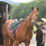 さぁ、今週からは秋競馬がスタートします！