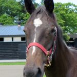 スマイリンアスク’17のShall Farm(現ASK STUD)生産馬ファンタジストが小倉2歳Sを圧勝！