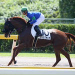 Team Hiroo近親馬、今週末の出走予定