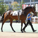 今週の出走予定(13日、14日）棟広良隆のレース展望