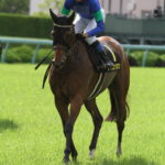 今週の出走予定（10日、11日）、棟広良隆のレース展望