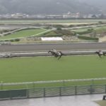 パラスアテナ、快勝！！！