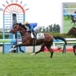 先週末の中央競馬勝ち馬