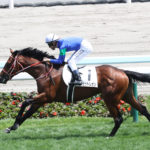 先週末の中央競馬勝ち馬