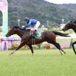 先週末の中央競馬勝ち馬