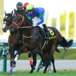 今週の出走予定（12月12日）