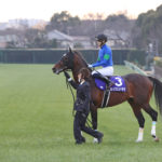 年末年始（12/26-27、1/5）の中央競馬勝ち馬